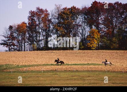 La chasse au renard à cheval, CHESHIRE FOXHOUNDS RUNNYMEADE, ferme, COMTÉ DE CHESTER, Pennsylvania, USA Banque D'Images