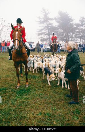 MME JOHN B. « NANCY » HANNUM ; GRANDE DAME DU RENARD CHASSANT À CHEVAL, CHESHIRE FOXHOUNDS, FERME RUNNYMEADE, COMTÉ DE CHESTER, PENNSYLVANIE, ÉTATS-UNIS Banque D'Images