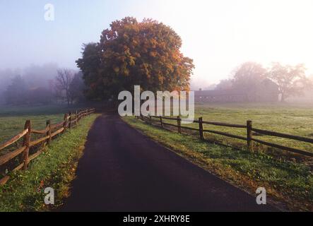 Vue d'automne brumeuse de la route bordée de clôture menant à Hill Girt Farm ; Chadd Ford ; Pennsylvanie ; États-Unis Banque D'Images