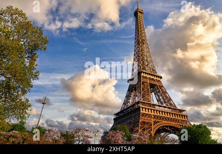Tour Eiffel. Paris. La France. Banque D'Images