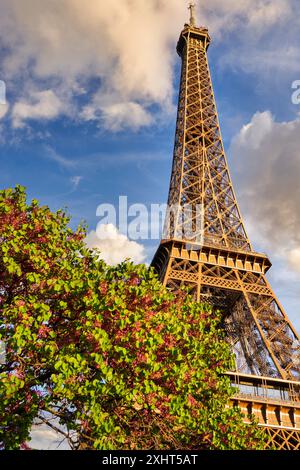 Tour Eiffel. Paris. La France. Banque D'Images