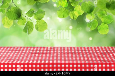 Nappe de pique-nique sur la table sous les branches d'arbres à l'extérieur Banque D'Images