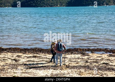 Palm Beach Sydney, couple d'âge moyen sur la plage utilisant des détecteurs de métaux pour rechercher des pièces de monnaie et des objets de valeur, Nouvelle-Galles du Sud, Australie Banque D'Images