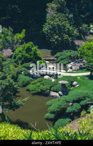 Un chemin en pierre courbe traverse un jardin japonais par une chaude journée d'été. Un feuillage luxuriant l'entoure alors qu'il se fraie un chemin à travers l'étang. Photo de haute qualité Banque D'Images