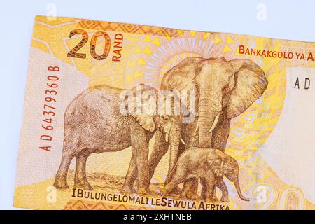 Billets de la banque nationale sud-africaine libellés en billets de 20 rands vue arrière Banque D'Images