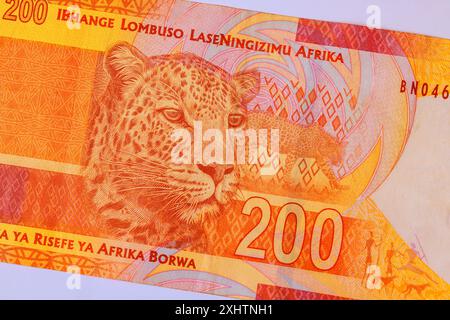 La banque nationale sud-africaine émet 200 billets de banque en rand vue arrière Banque D'Images