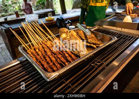 Offrez-vous des brochettes de barbecue alléchantes et du poisson grillé disponibles dans un étal animé de Street food Banque D'Images