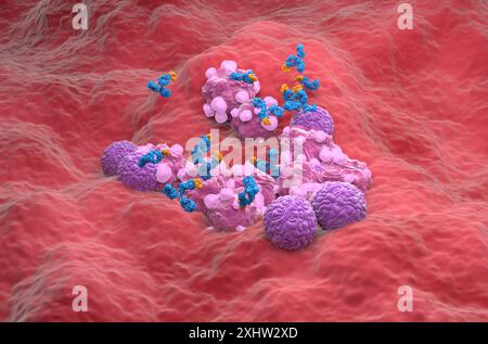 Traitement par anticorps monoclonaux dans le cancer de l'ovaire - vue isométrique illustration 3D. Banque D'Images