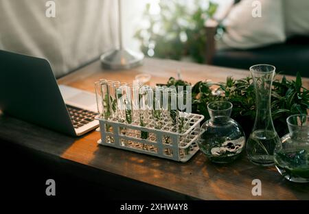 Plantes, tubes à essai et biologie pour la recherche médicale pour botaniste, scientifique et étude en laboratoire. Équipement, science et ordinateur portable pour académique, éducation Banque D'Images