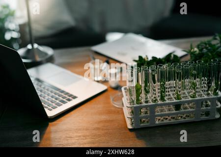 Science végétale, tubes à essai et bureau pour la recherche, l'analyse ou l'expérience écologique sur ordinateur portable ou Internet. Agriculture, croissance ou flacon en verre pour feuille Banque D'Images