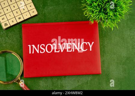 symbole de loi de paragraphe. Mot D'INSOLVABILITÉ sur un carnet d'affaires rouge sur un fond vert magnifique Banque D'Images