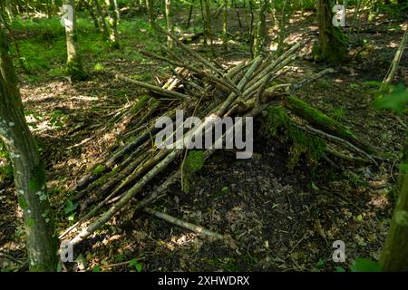 Petite cabane ou abri fait de branches d'arbres, de bâtons et de brindilles dans une forêt en Europe. Les feuilles d'été vertes se couvrent, plan grand angle, pas de gens. Banque D'Images