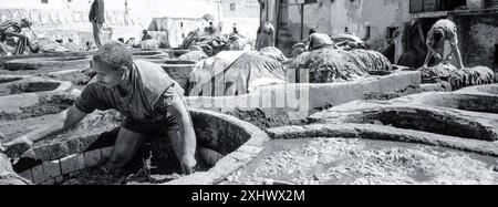 Tanneries (Souk Dabbaghin). Fes el Bali. Fez. Cité impériale. Maroc. Afrique. Banque D'Images