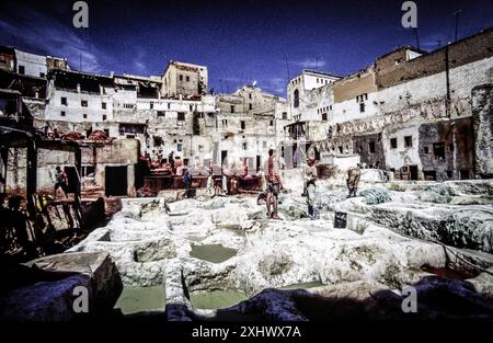 Tanneries (Souk Dabbaghin). Fes el Bali. Fez. Cité impériale. Maroc. Afrique. Banque D'Images