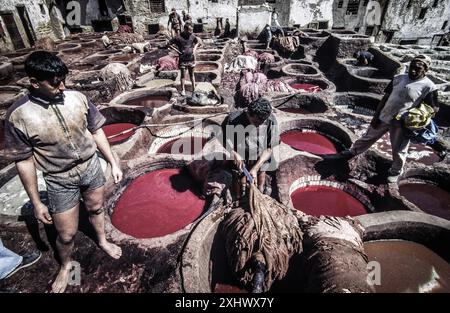 Tanneries (Souk Dabbaghin). Fes el Bali. Fez. Cité impériale. Maroc. Afrique. Banque D'Images