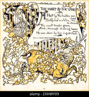 GRUE Walter The Hart & The Vine The Baby's Own Aesop 1887 - impression Vintage illustrée Banque D'Images