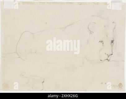 Etude d'un lion couché. Andrieu, Pierre 1821 - 1892 dessin de dessins et aquarelles français XIXe - XXe siècles. Dessins français au Département des estampes et dessins, Statens Museum for Kunst, Jan Würtz Frandsen, NR. 59, C 25932, 2002 Studie af en liggende Løve. Banque D'Images