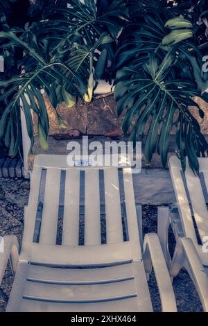 Chaise longue entourée de feuilles de monstera luxuriantes dans une station touristique Banque D'Images