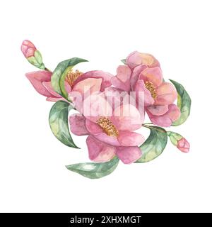 Trois camélias fleurissent avec des feuilles vertes luxuriantes. Clipart aquarelle avec pétales roses vibrants, composition tsubaki pour art mural ou étuis de téléphone, emballage d'huile capillaire, cosmétiques, design de vêtements. Banque D'Images