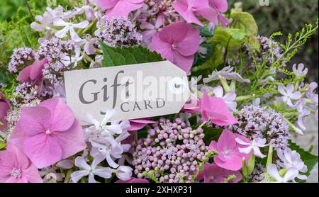 Bouquet d'été avec hortensias roses, soapwort, origan et carte avec texte anglais : Gift card Banque D'Images