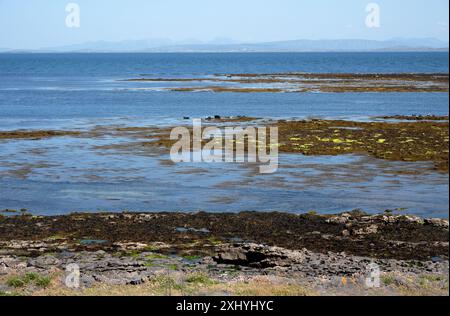 La plage de colonie de phoques sur l'Inis Mor, Co, Galway, Inishmore, Aran Island, Irlande Banque D'Images