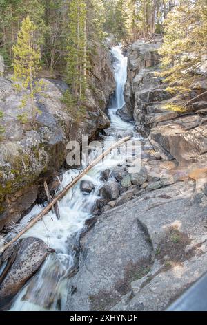 Chasm Falls sur la rivière Fall dans le parc national des montagnes Rocheuses, Colorado, États-Unis Banque D'Images