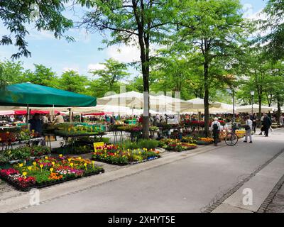 Étals de fleurs au marché central de Ljubljana en été Ljubljana Slovénie centrale Banque D'Images