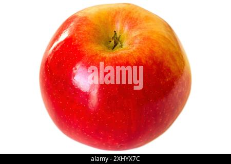 Gros plan d'une pomme rouge fraîche et brillante Banque D'Images