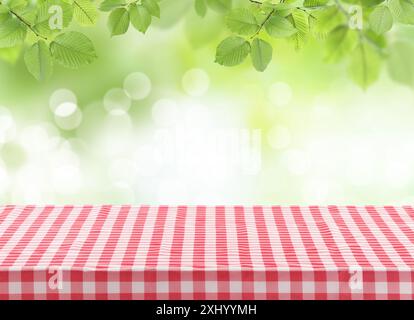 Nappe de pique-nique sur la table sous les branches d'arbres à l'extérieur Banque D'Images