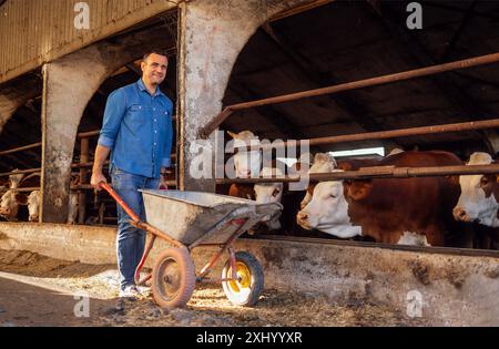 Un jeune homme en tenue décontractée travaille dans un étable. Un agriculteur attrayant conduit une brouette. Un homme souriant vit dans une ferme et prend soin des vaches Banque D'Images