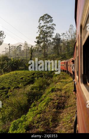 Le train sri-lankais voyage à travers des plantations de thé vert luxuriant avec des arbres lors d'un voyage pittoresque dans la campagne au coucher du soleil. Banque D'Images