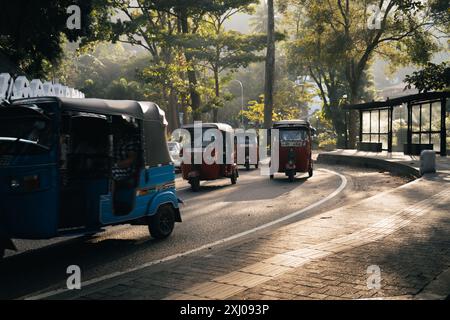 Une ligne de tuk-tuks colorés conduisant sur une route au Sri Lanka. Banque D'Images