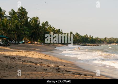 Plage tranquille, palmiers, gens nageant dans la mer. Sri Lanka, province du Sud, Hambantota, Tangalle. Banque D'Images