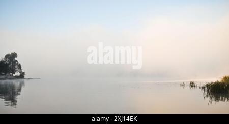 Rivière cachée dans un brouillard. Brouillard dense au-dessus de l'eau. Lever de soleil dans la brume au bord du lac le matin d'automne. Arbres et plantes ressemblant à des scírpus sur la rive de la rivière. Banque D'Images