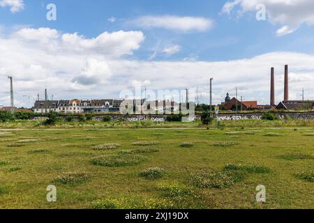 Le Pionierpark dans le quartier Raderberg de Cologne, Allemagne. Le parc est une solution provisoire. Parkstadt Sued sera construit ici dans le futur sur un an Banque D'Images