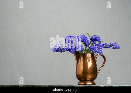 Bouquet délicat. Hyacinthe Muscari dans une cruche en cuivre sur un fond gris clair. Sensibilité. Parfum frais du printemps. Calme la nature morte. Banque D'Images