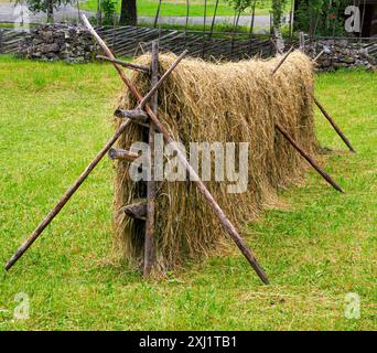 Râtelier de foin norvégien utilisé pour sécher rapidement le foin d'herbe pour l'alimentation d'hiver - dans une ferme du centre de la Norvège Banque D'Images