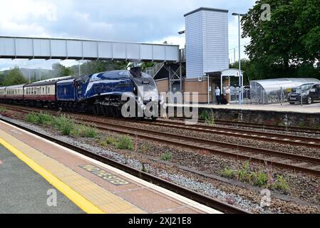 LNER Class A4 Pacific No 60007 Sir Nigel Gresley passant par Totnes avec le Golden Hind train-tour à Plymouth, le 11 juillet 2024. Banque D'Images