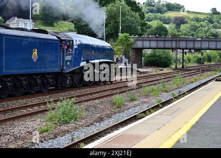 LNER Class A4 Pacific No 60007 Sir Nigel Gresley passant par Totnes avec le Golden Hind train-tour à Plymouth, le 11 juillet 2024. Banque D'Images