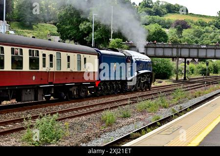 LNER Class A4 Pacific No 60007 Sir Nigel Gresley passant par Totnes avec le Golden Hind train-tour à Plymouth, le 11 juillet 2024. Banque D'Images