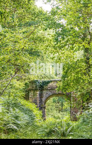 Pont Mireystock (ouvert en 1874) sur une ligne de chemin de fer minier dans la forêt de Dean près de Brierley, Gloucestershire, Angleterre Royaume-Uni Banque D'Images