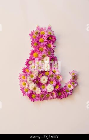 fleurs de chrysanthème rose et blanc en composition de chat, idées de bricolage, idées isolées et créatives pour les enfants et les adultes pour l'automne Banque D'Images