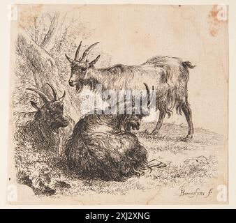 Trois chèvres Berchem, Nicolaes 1620 - 1683 gravure, estampe Hollstein, gravures et gravures sur bois néerlandaises et flamandes 1450-1700 (vol. I), Abry - Berchem, F.W.H. Hollstein, 50 VII(?), C 38945, 1949. The Illustrated Bartsch 7, Netherlandish Artists, J. Both, Bega, Berchem, Ossenbeck, Hondius m.fl., Otto Neumann, 50, C 36173, 1978 Tre geder Banque D'Images