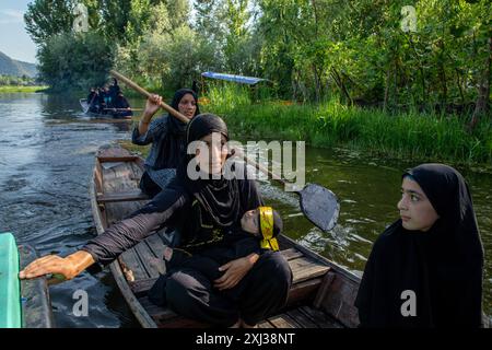 Srinagar, Inde. 16 juillet 2024. Les femmes musulmanes chiites du Cachemire rament sur le bateau pendant la procession dans les intérieurs du lac Dal à Srinagar le 9 de Mouharram, le premier et le plus Saint mois du calendrier islamique. Les musulmans chiites commémorent Mouharram comme un mois de deuil en souvenir du martyre du petit-fils du prophète islamique Mahomet, Imam Hussain, qui a été tué avec les membres de sa famille à Ashura (le 10ème jour de Mouharram) dans la bataille de Karbala dans le sud de l'Irak en 680 après J.-C. crédit : SOPA images Limited/Alamy Live News Banque D'Images