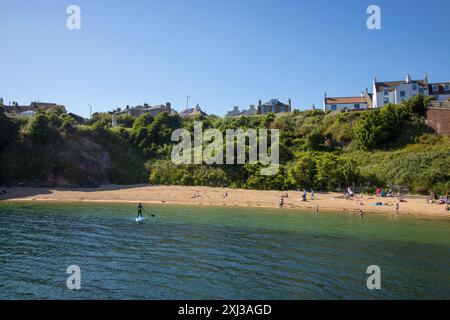 Crail Beach à côté du port de Crail, East Neuk, Écosse Royaume-Uni par une journée ensoleillée ; avec des baigneurs dans le sable et SUP dans l'eau (stand-up Paddleboarding) Banque D'Images