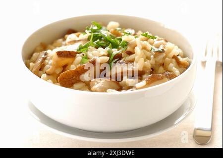 risotto aux champignons cep (thème : champignons) Banque D'Images