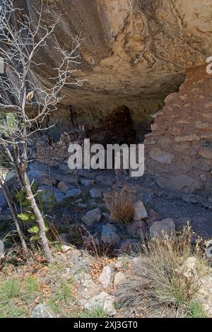 Ruines d'une falaise de maçonnerie sous une corniche calcaire dans le Walnut Canyon National Monument Banque D'Images