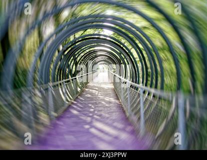 Slinky jaillit au pont de renommée, également Rehberger Bridge, Oberhausen Banque D'Images