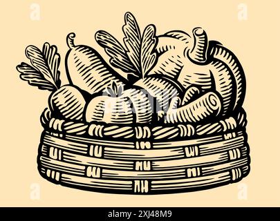 Panier avec divers légumes frais. Cultivez des aliments biologiques sains. Dessin dessiné à la main dans le style de gravure vintage Illustration de Vecteur