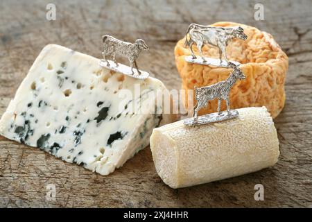 Sélection de fromages Banque D'Images